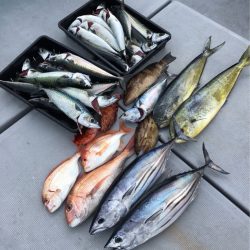 渡船屋たにぐち 釣果