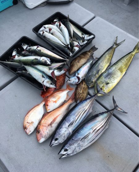 渡船屋たにぐち 釣果