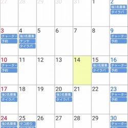 遊漁船 家入 釣果