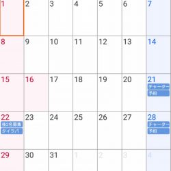 遊漁船 家入 釣果