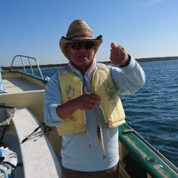 島きち丸 釣果