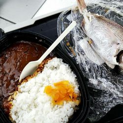 タイラバ遊漁船 ワンピース 釣果