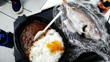 タイラバ遊漁船 ワンピース 釣果