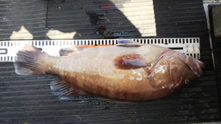 第二龍勢丸 釣果