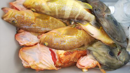 第二龍勢丸 釣果