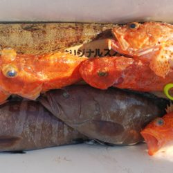 第二龍勢丸 釣果