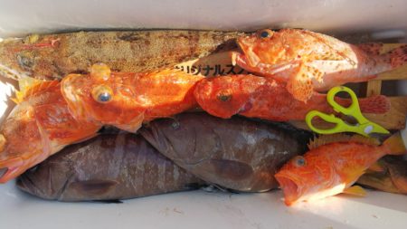 第二龍勢丸 釣果