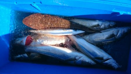 海龍丸（石川） 釣果