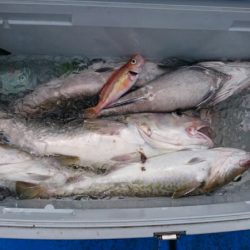 海龍丸（石川） 釣果