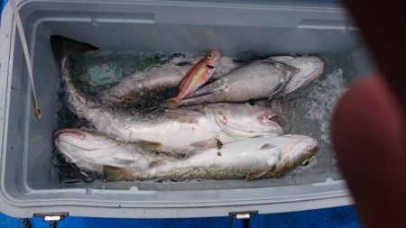 海龍丸（石川） 釣果