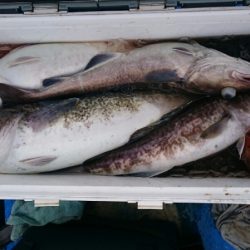 海龍丸（石川） 釣果