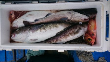 海龍丸（石川） 釣果