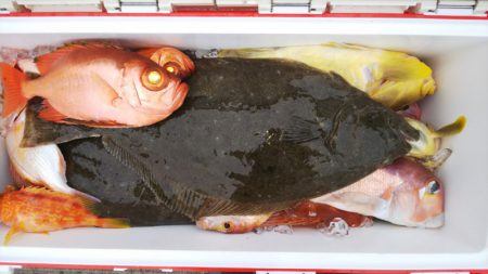 第二龍勢丸 釣果