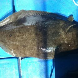 海龍丸（石川） 釣果