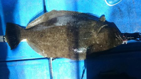 海龍丸（石川） 釣果