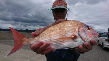 第三共栄丸 釣果