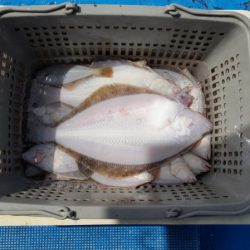 さち丸 釣果