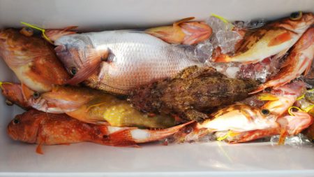 第二龍勢丸 釣果