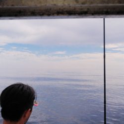 第二龍勢丸 釣果