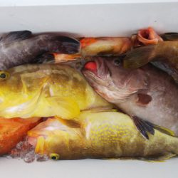 第二龍勢丸 釣果