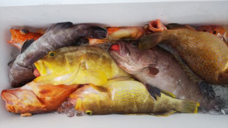 第二龍勢丸 釣果