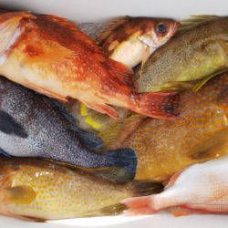 第二龍勢丸 釣果