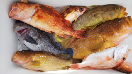 第二龍勢丸 釣果