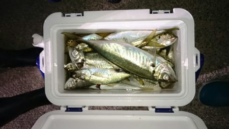 海龍丸(石川) 釣果