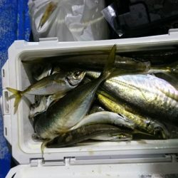 海龍丸(石川) 釣果