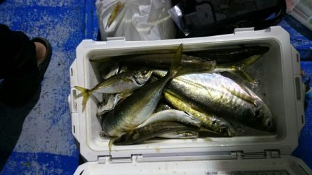 海龍丸(石川) 釣果