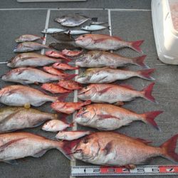 ARCADIAⅡ (アルカディアⅡ) 釣果