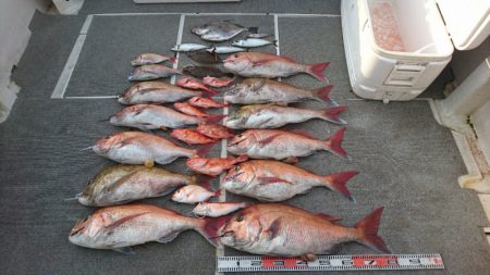 ARCADIAⅡ (アルカディアⅡ) 釣果