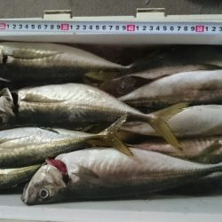 海龍丸(石川) 釣果