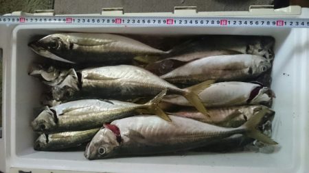 海龍丸(石川) 釣果