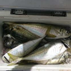 海龍丸(石川) 釣果