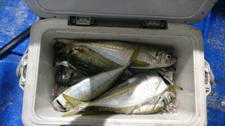 海龍丸(石川) 釣果