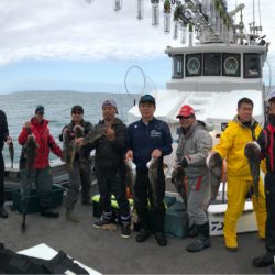 シーランチ 釣果