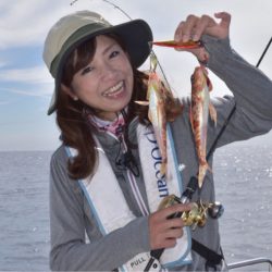 渡船屋たにぐち 釣果