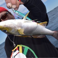 渡船屋たにぐち 釣果