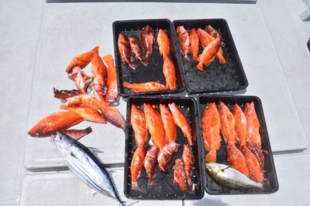 渡船屋たにぐち 釣果