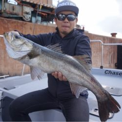 Chase（チェイス） 釣果