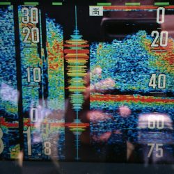 ブルースフィッシングサービス 釣果