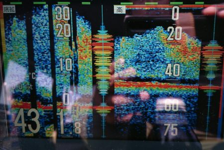 ブルースフィッシングサービス 釣果