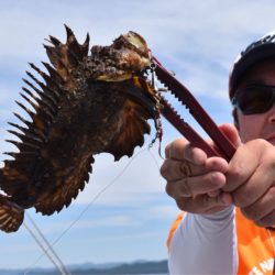 渡船屋たにぐち 釣果