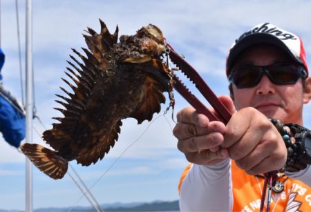 渡船屋たにぐち 釣果