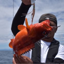 渡船屋たにぐち 釣果