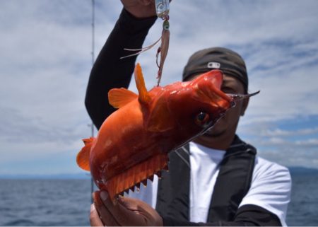 渡船屋たにぐち 釣果