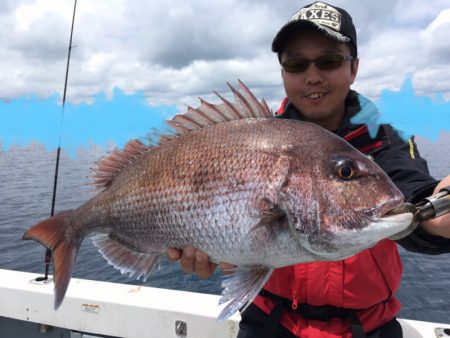 エヌスタイル 釣果
