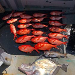 ＴＡＲＯＭＡＲＵ 釣果