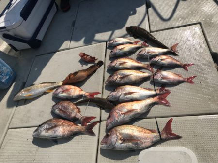 遊漁船メテオ 釣果